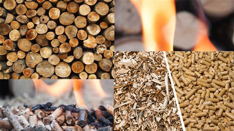 Firewood Or Wood Pellets Which One To Choose